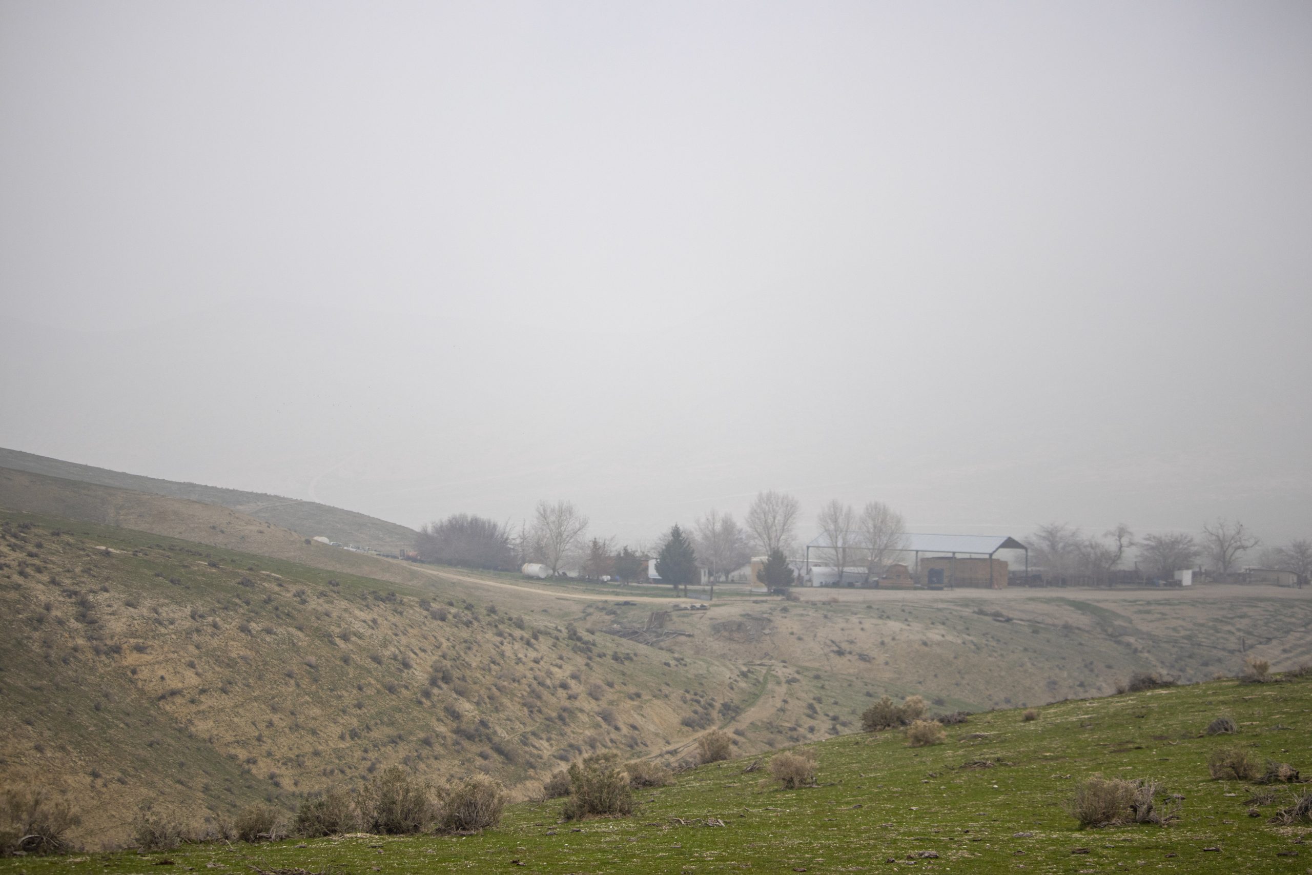 Even More Fog (8)
