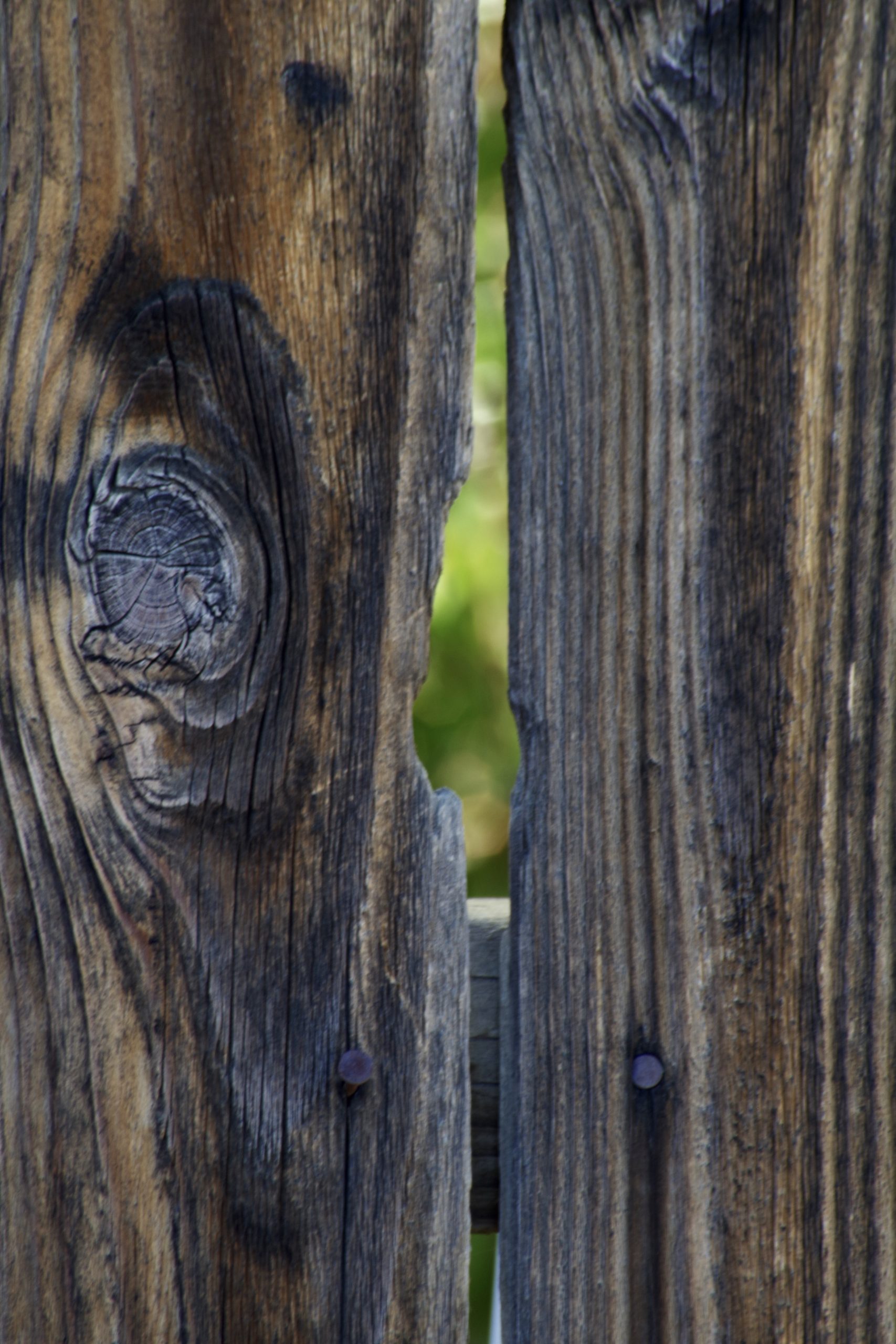Old Wood (9)