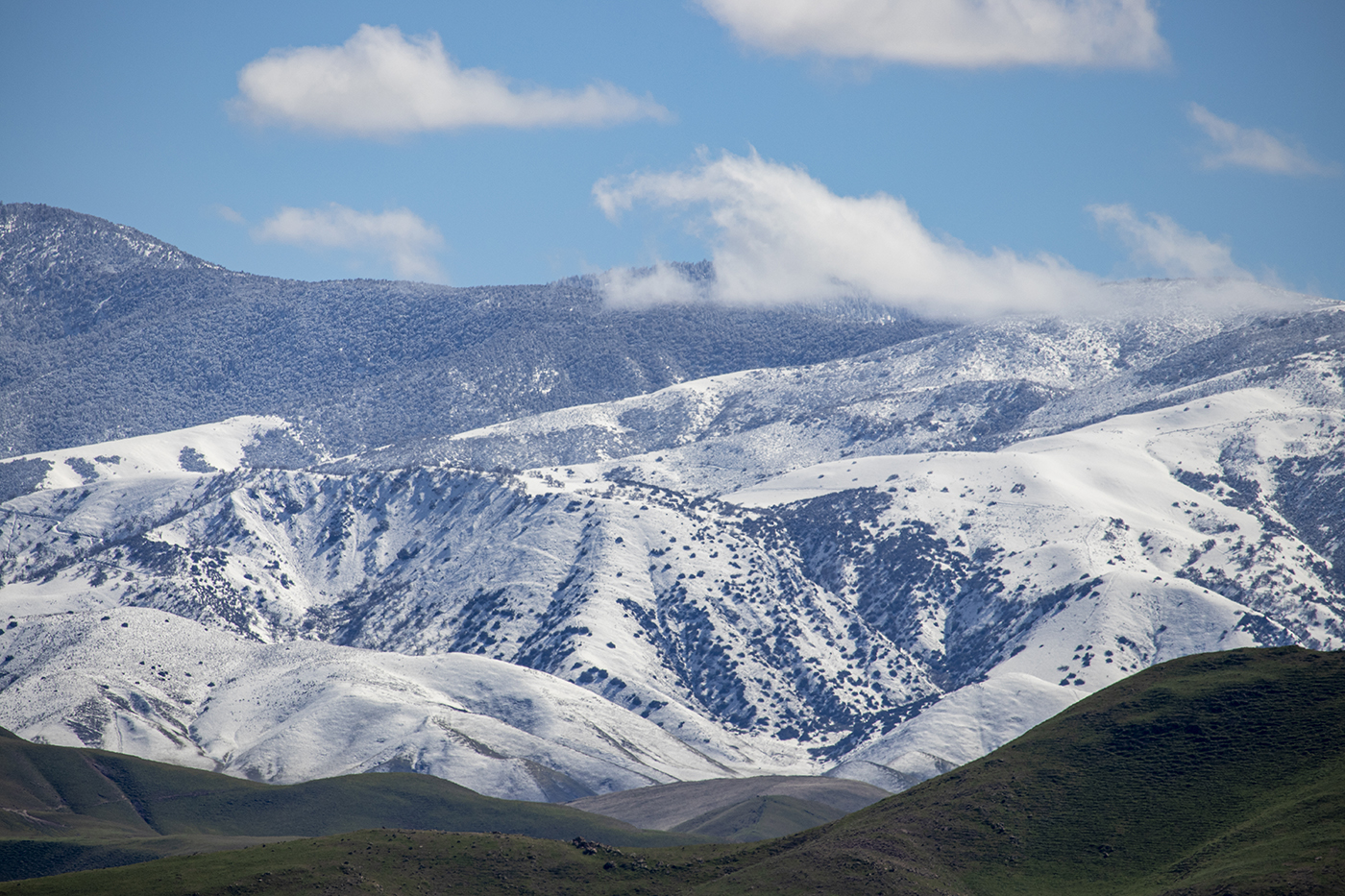 Snow on the Mountain