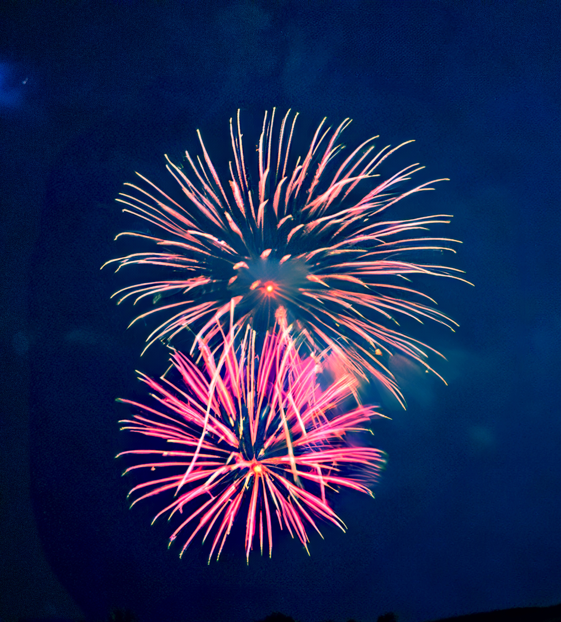 Esther Livingston - Double Flash Fireworks