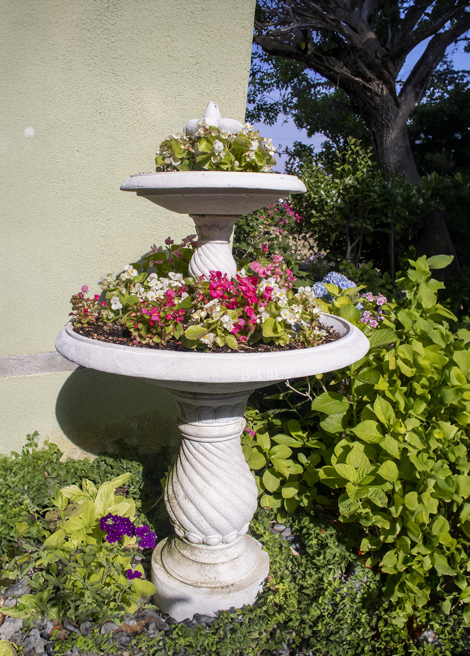 Esther Livingston Tiered Hydrangeas