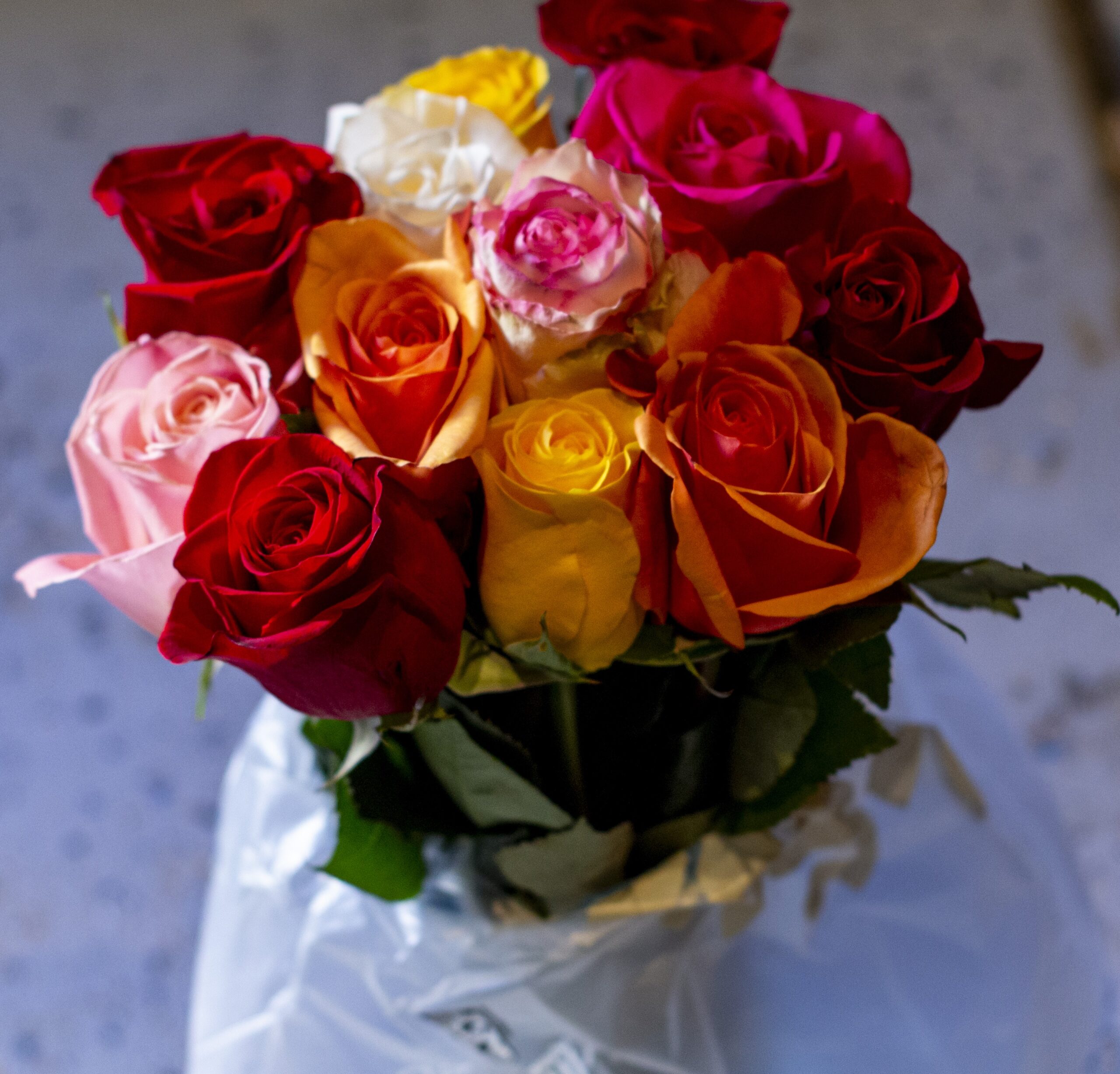 Karen White - Rose