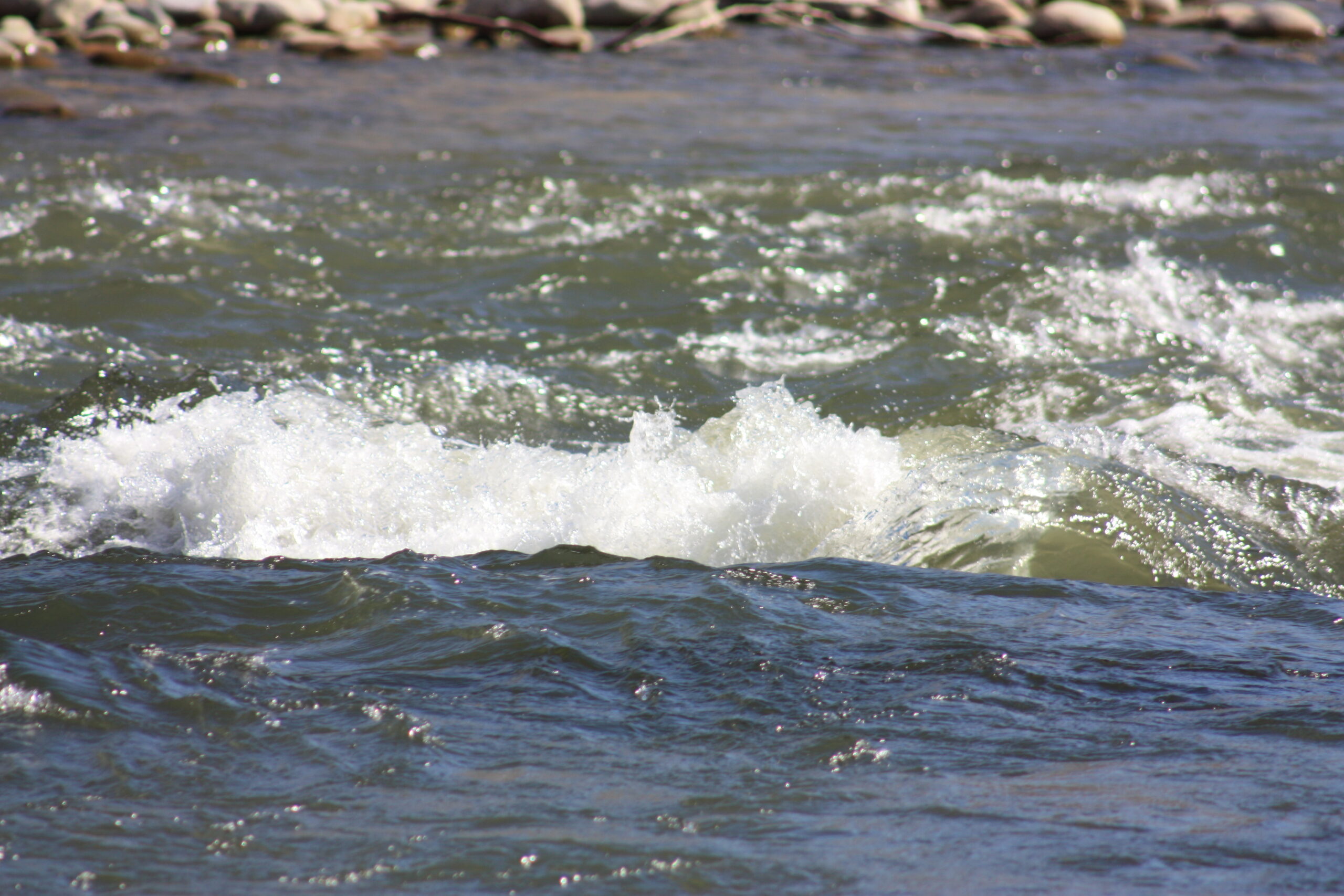 Maureen Webb - Kern River Rapids